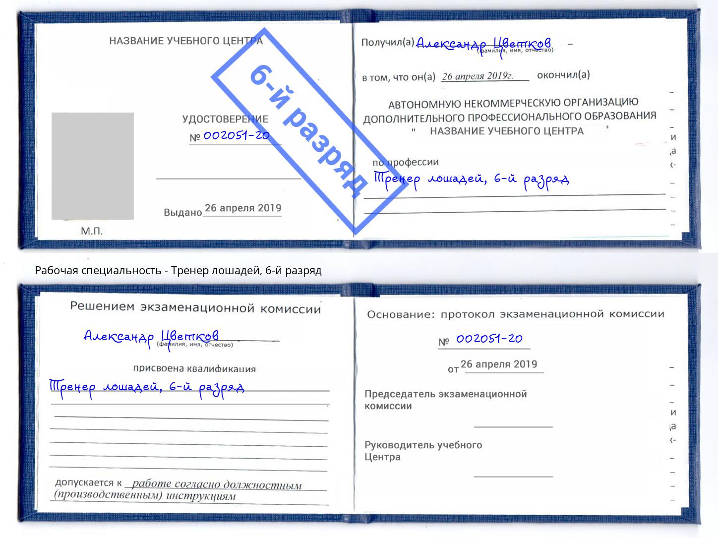 корочка 6-й разряд Тренер лошадей Глазов